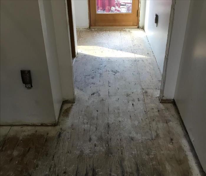 Hallway stripped of floorboards with only stained subfloor and drywall remaining before restoration