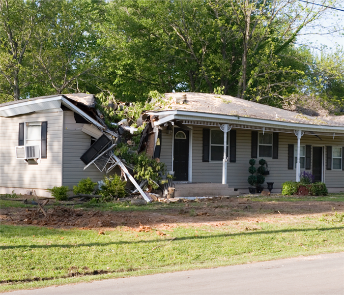 a fallen over tree on top of a house