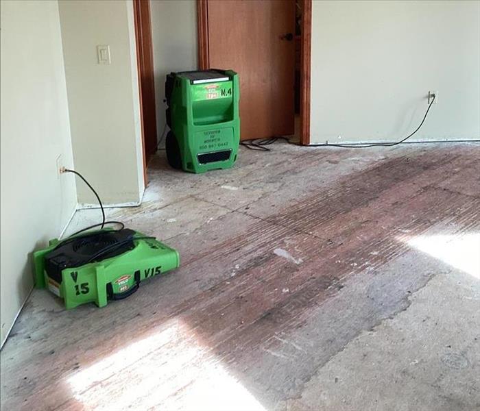 carpet removed from wood flooring