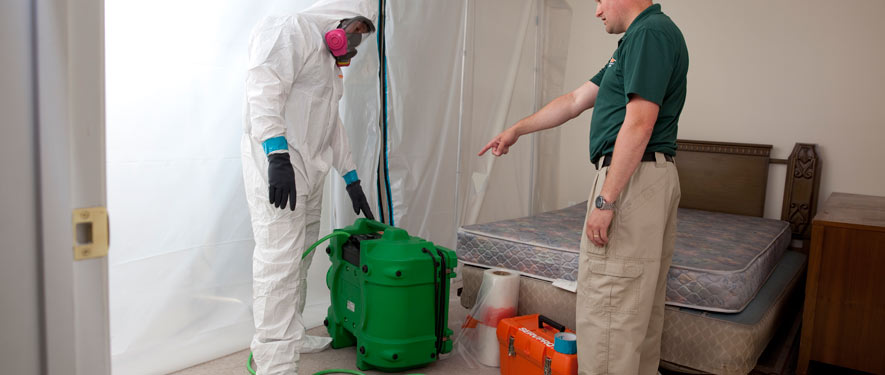 New London, CT mold removal process